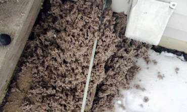 Residential Dryer Vent Cleaning