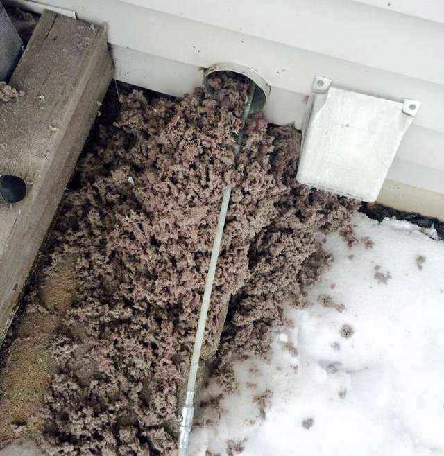 Dryer Vent Cleaning