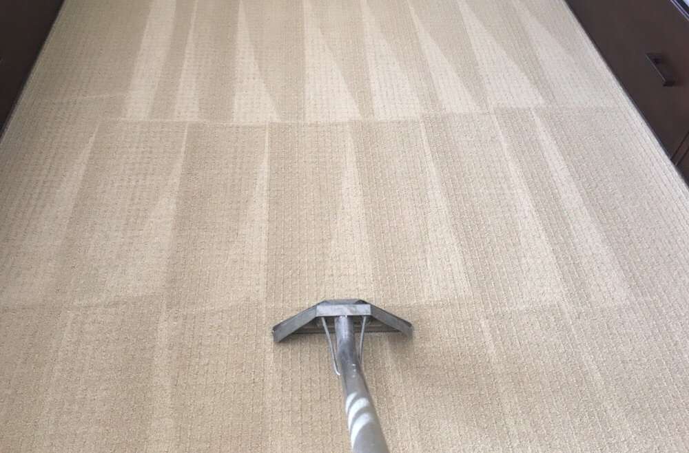 Carpet cleaning by EzGreen