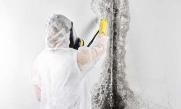 Mold Remediation